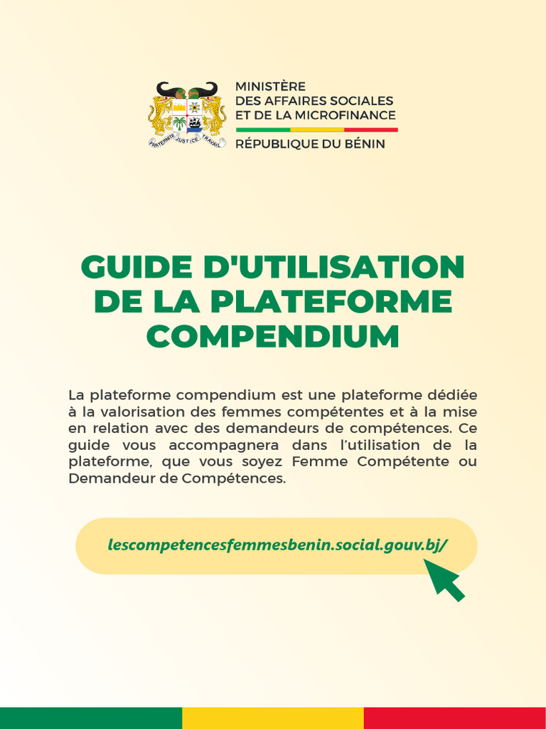Guide D'utilisation | PDF | Informatique