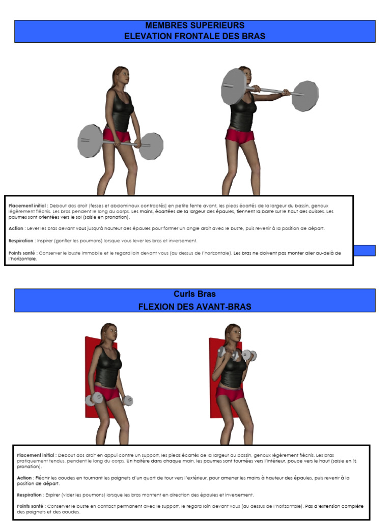Fiches Ateliers Musculation Avec Matos 2me Partie | PDF | Jambe humaine ...