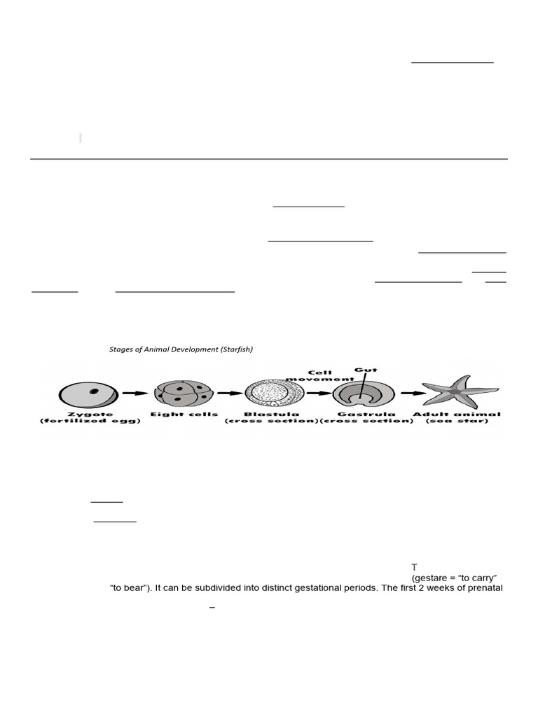 q4 Week 1 Las 2 Life Cycles of Animals and Human Development Edited ...