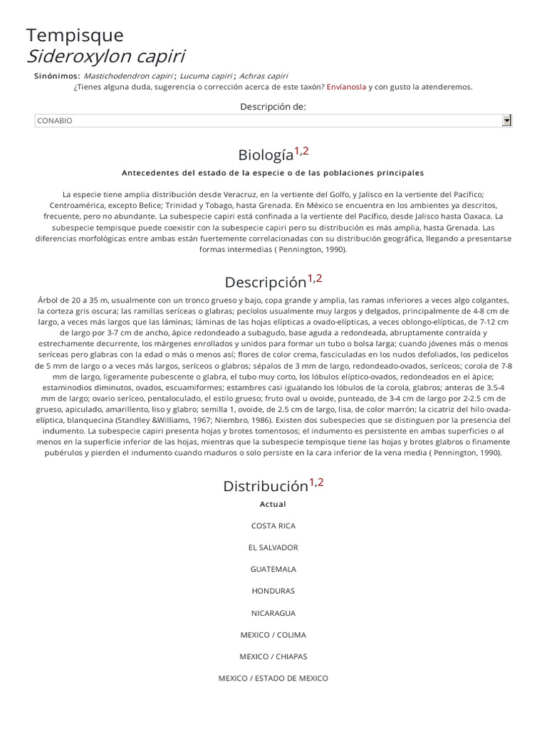 Sideroxylon Capiri | PDF | México | Morfología Vegetal