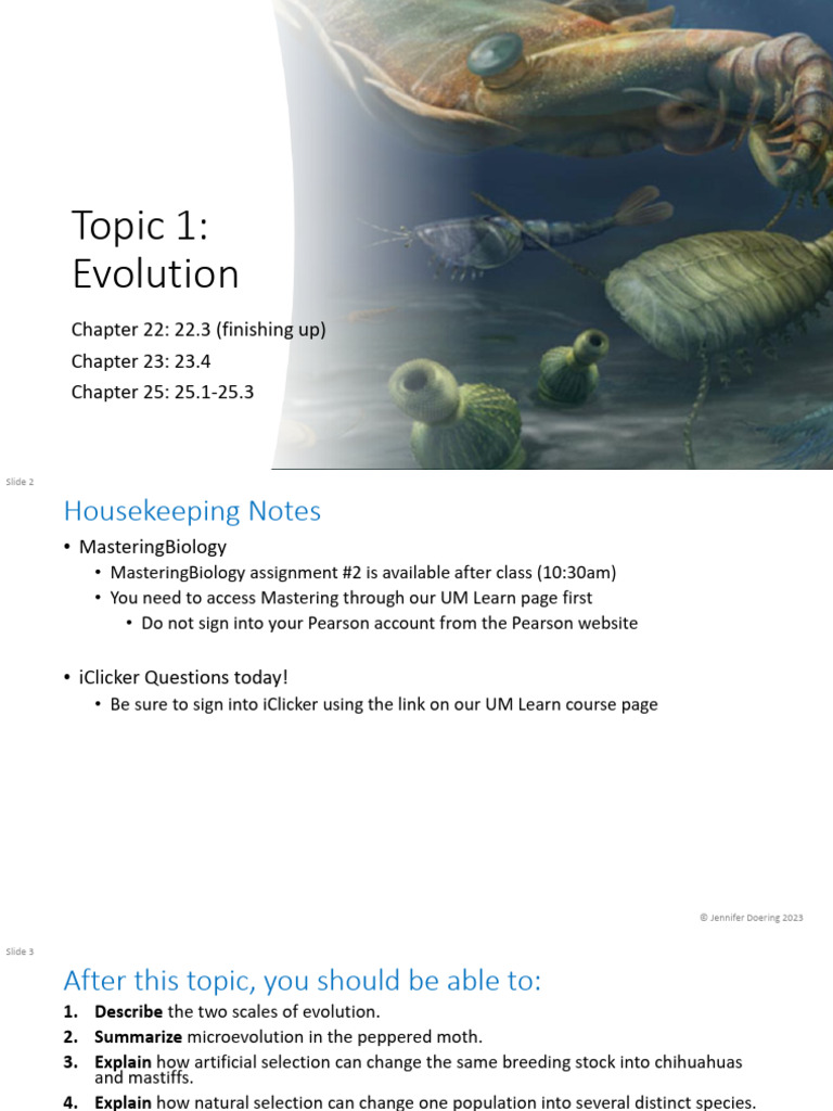 Lecture 4 - Evolution PT 2 | PDF | Natural Selection | Homology (Biology)