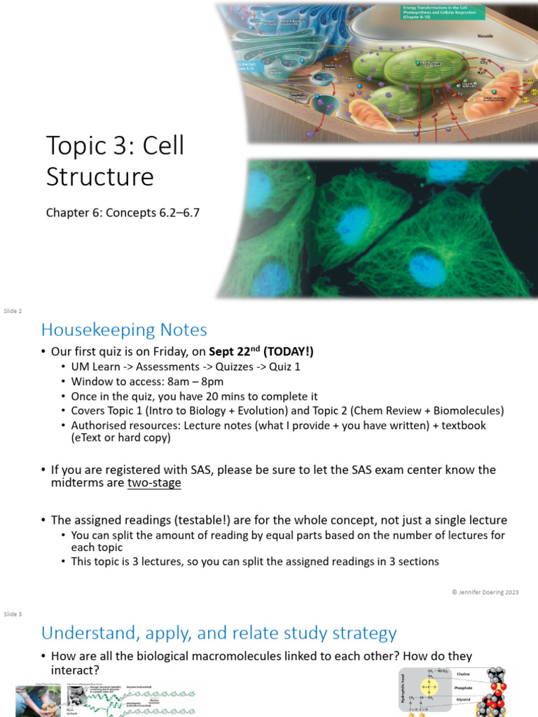 Lecture 8 - Cell Structure 1 | PDF | Cell (Biology) | Cell Nucleus