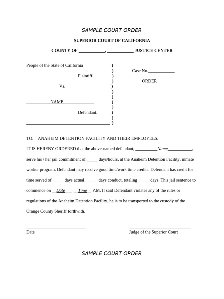 Sample Full Time Commitment Court Order Form | PDF