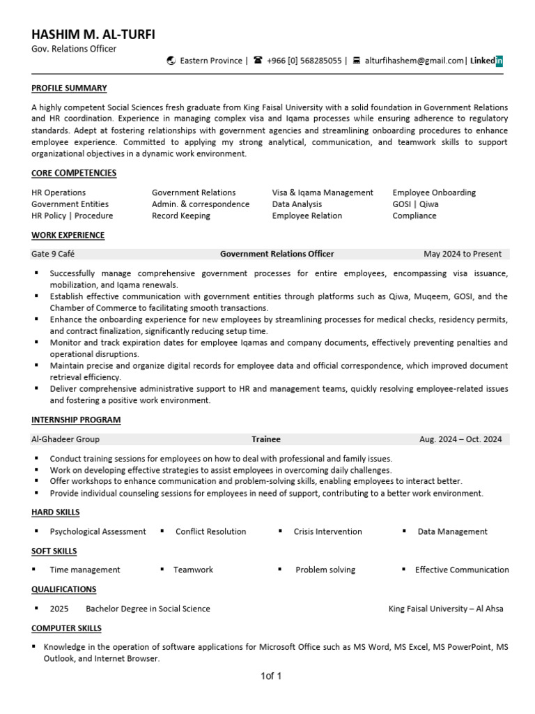 Resume of Hashim M. Al-Turfi 2 | PDF | Data Management | Business
