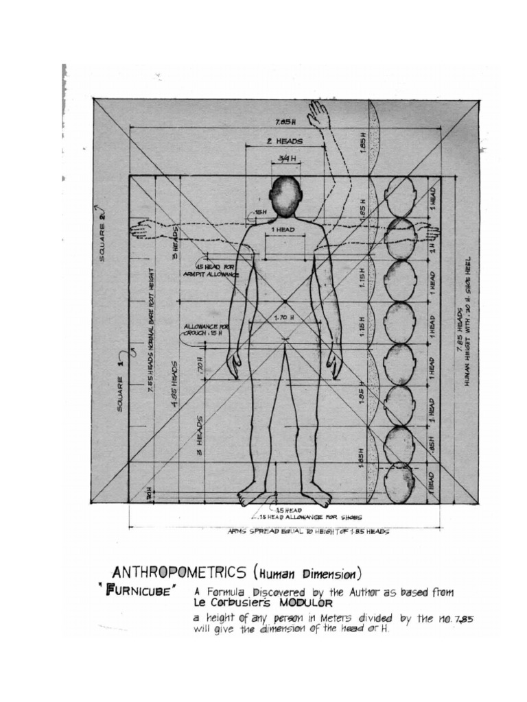 ANTHROPOMETRICS (Human Dimension) Base From Le Corbusiers MODULOR | PDF