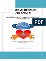 Programa de Salud Ocupacional Boyaca