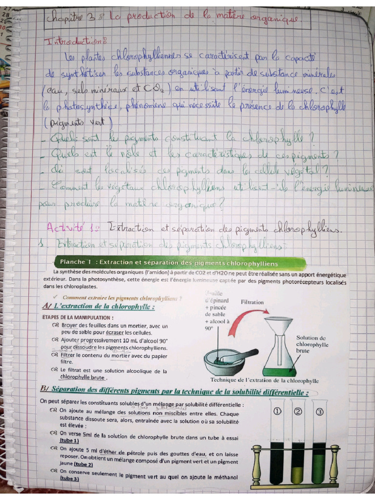 1 Bac | PDF