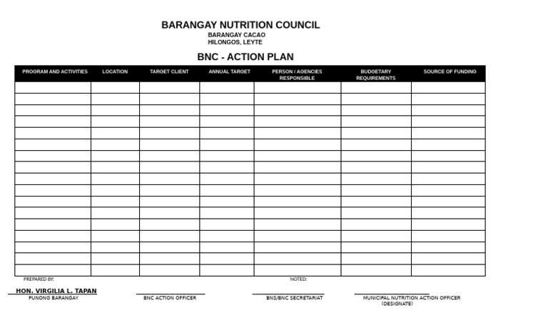 BNC Action Plan Barangay Cacao | PDF