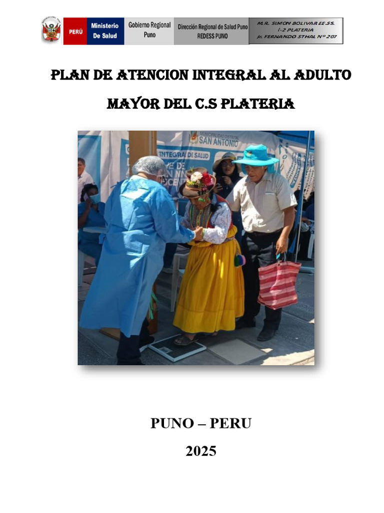 Plan de Atencion Integral Al Adulto Mayor 2025 | PDF | Vejez | Adultos