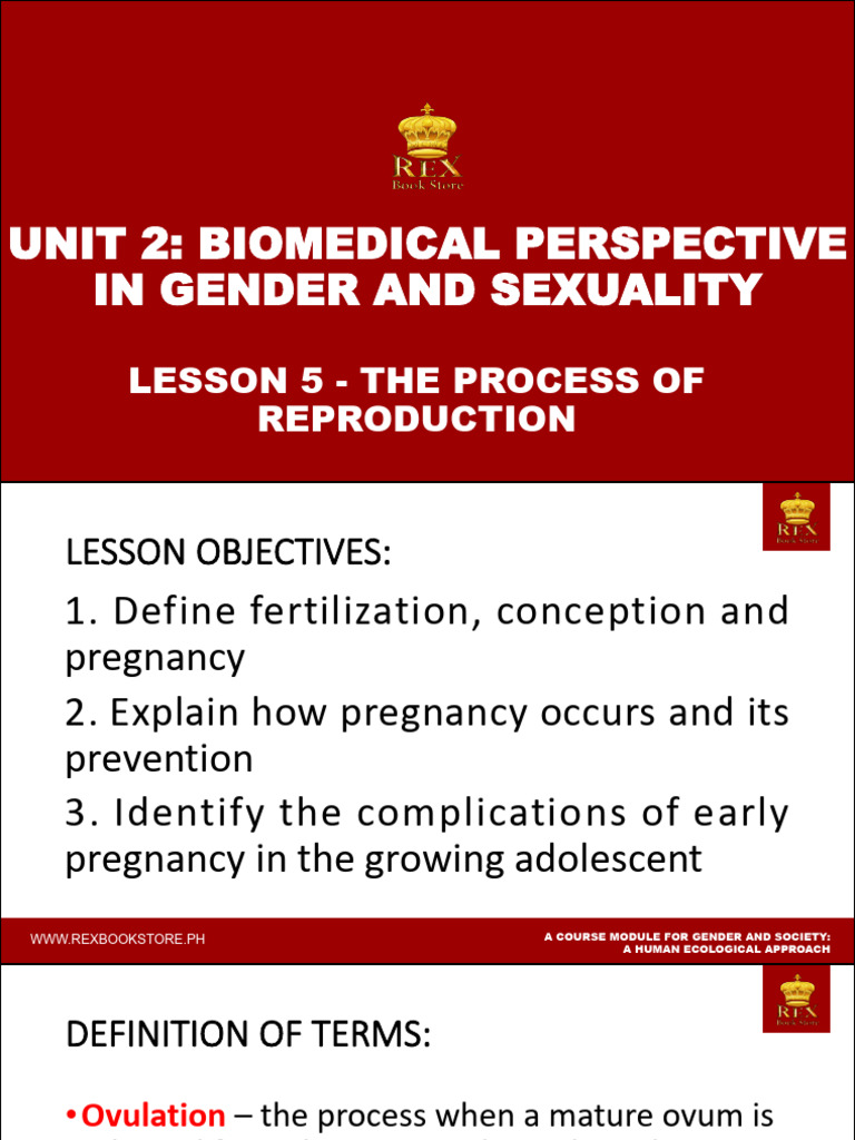 Lesson 5 - The Process of Reproduction - 6177040 | PDF | Fertilisation ...