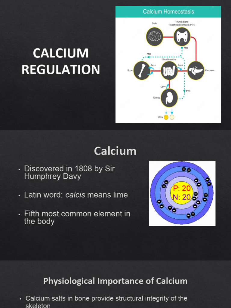 07 Calcium Homeostasis | PDF | Calcium | Vitamin D