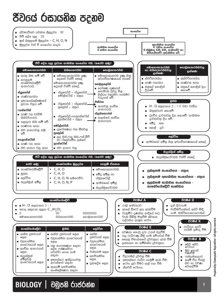 Grade 10 Biology Short Note Book INSIDE 2025 MARCH 4 | PDF
