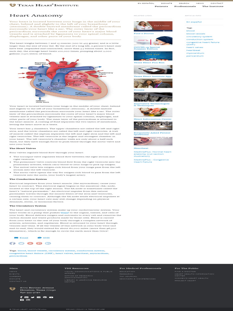 Heart Information Center Heart Anatomy Texas H | PDF | Heart ...