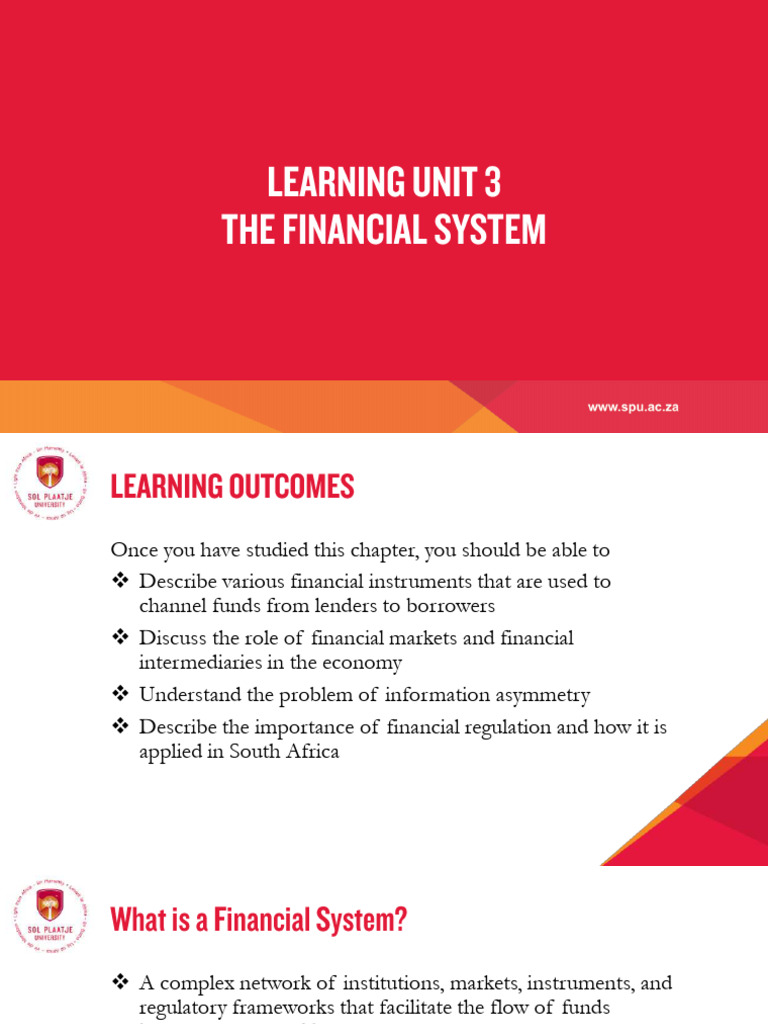 LEARNING UNIT 3 - The Financial System | PDF | Securities (Finance ...