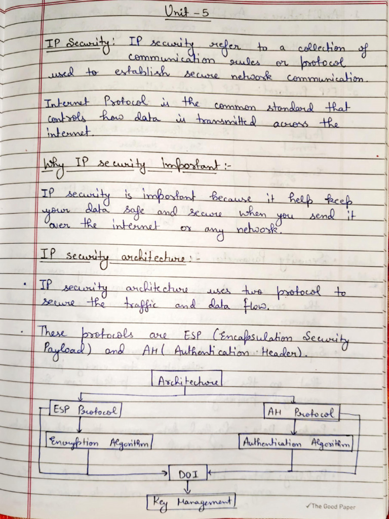 Unit 5 CNS | PDF