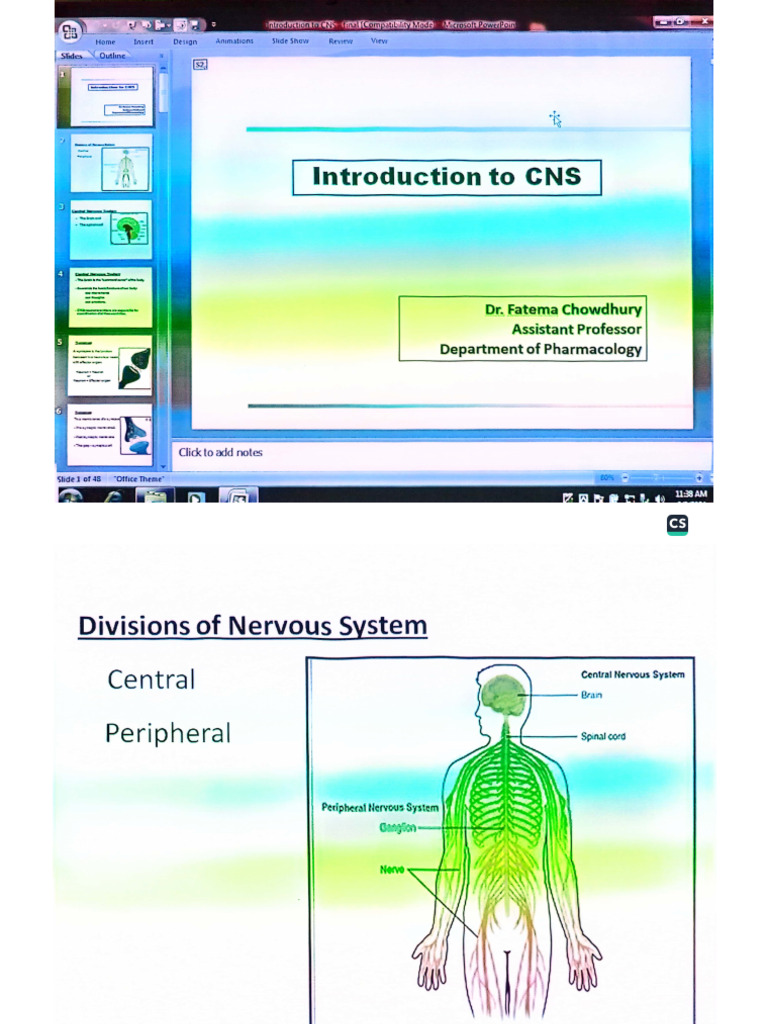 Introduction To CNS | PDF