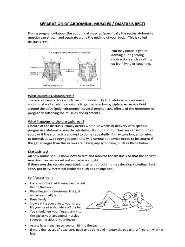 Separation of Abdominal Muscles | PDF | Abdomen | Musculoskeletal System
