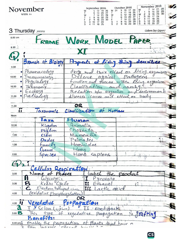 XI Frame Work Solution | PDF