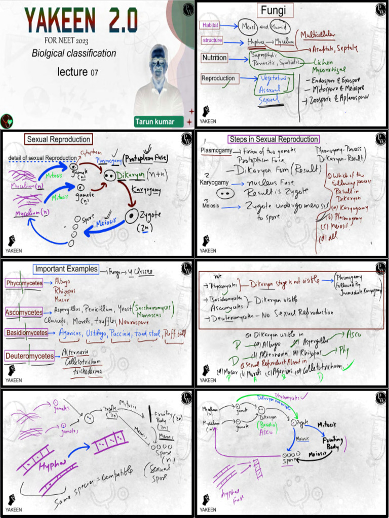 Biological Classification 07 Class Notes-merge-Invert | PDF