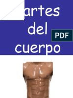 1 Partes Del Cuerpo