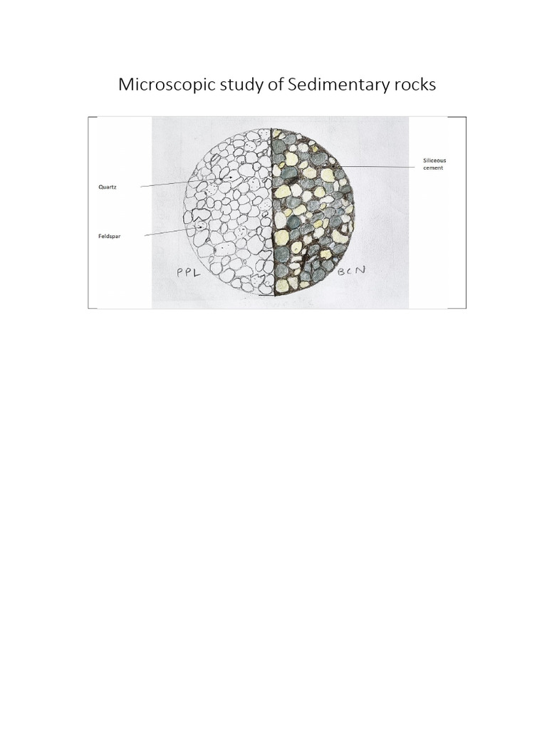 Microscopic Sedimentary Rocks | PDF | Clastic Rock | Limestone