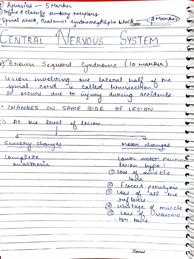 Pranav Cns Notes | PDF