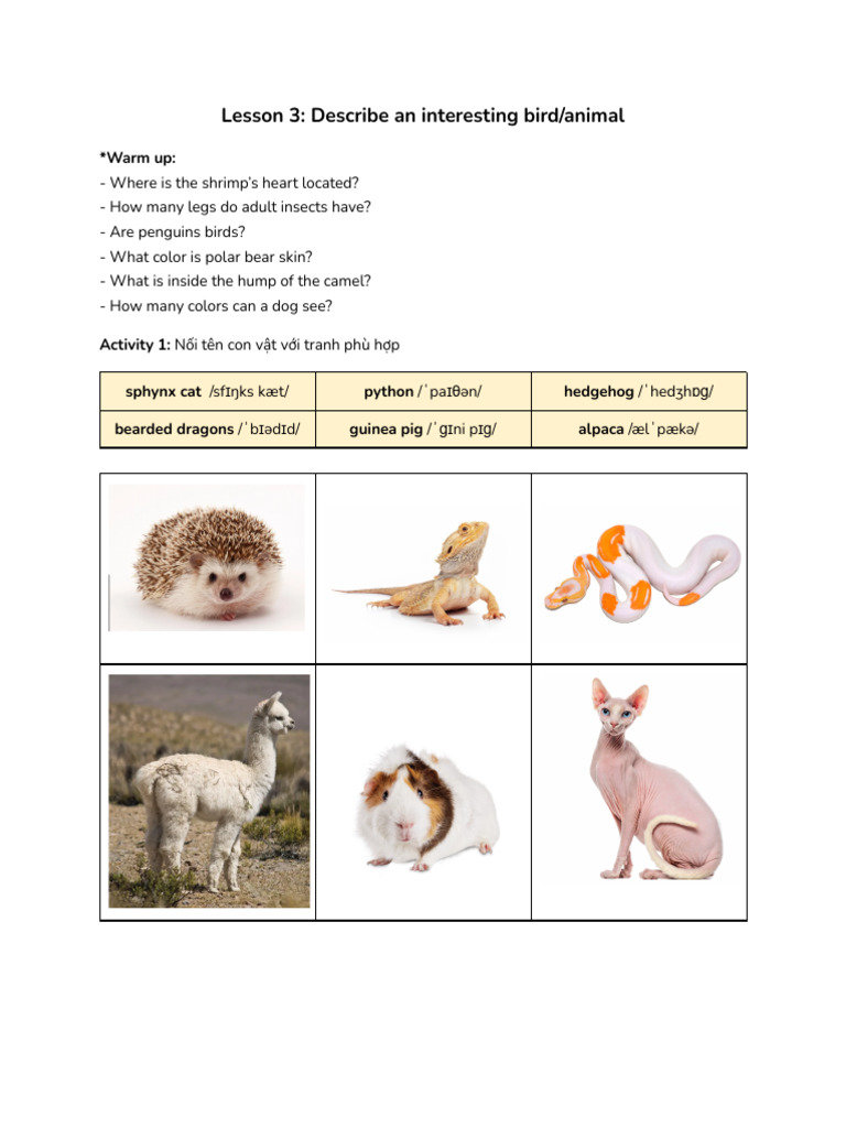 Lesson 3 An Animal | PDF | Pet | Zoology