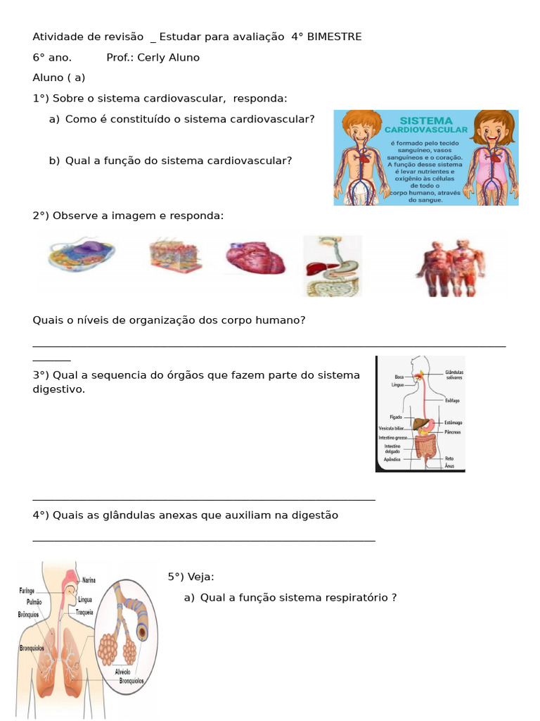 Sistemas Do Corpo Humano 6° Ano | PDF | Corpo humano | Fisiologia
