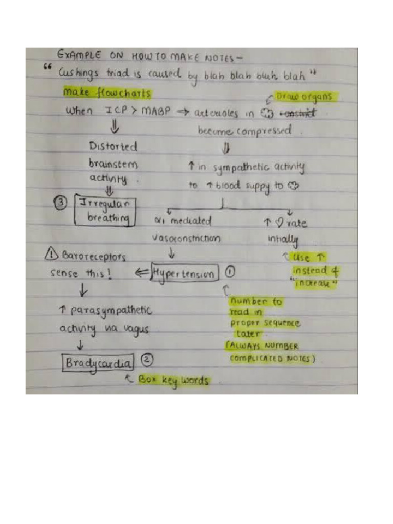 How To Take Lecture Notes | PDF