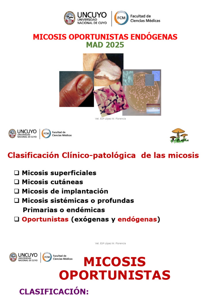 Micosis Oportunistas Endógenas DE 2025 | PDF | Sistema inmune | Vagina