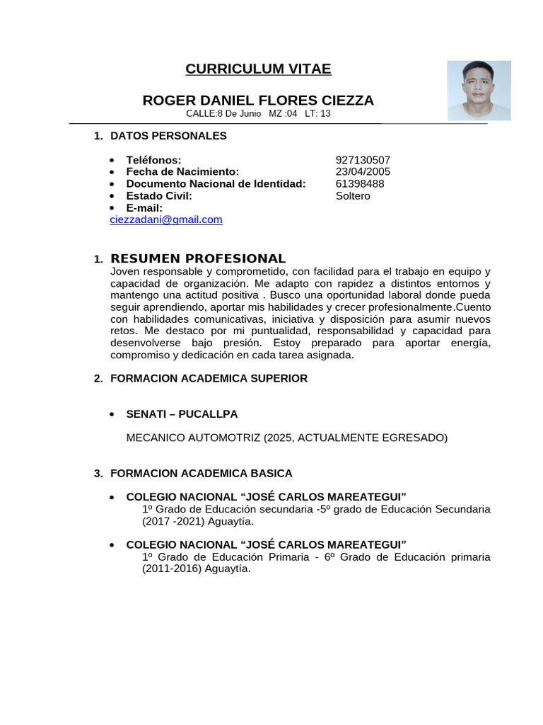 Curriculum Vitae Daniel (2025) | PDF