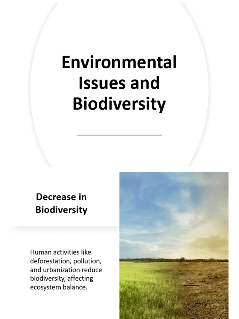 Bio-10th Grade Environmental Issues and Biodiversity | PDF | Air ...
