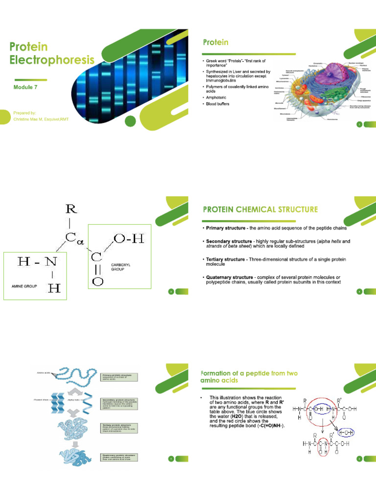 Module 10 | PDF