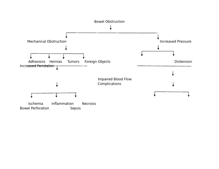 Bowel Obstruction Pathphysiology | PDF