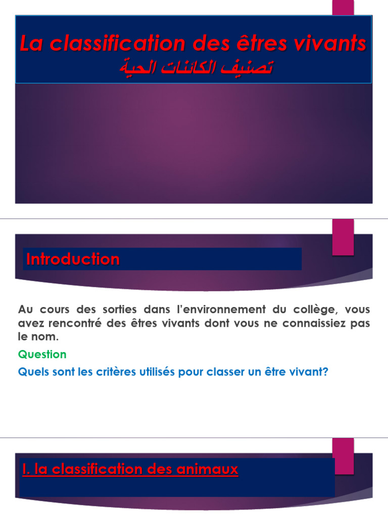 La Classification Des Êtres Vivants | PDF | Vertébrés | Tige (Plante)
