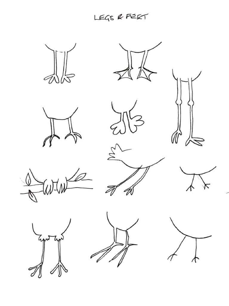 Buildabird Legs and Feet | PDF