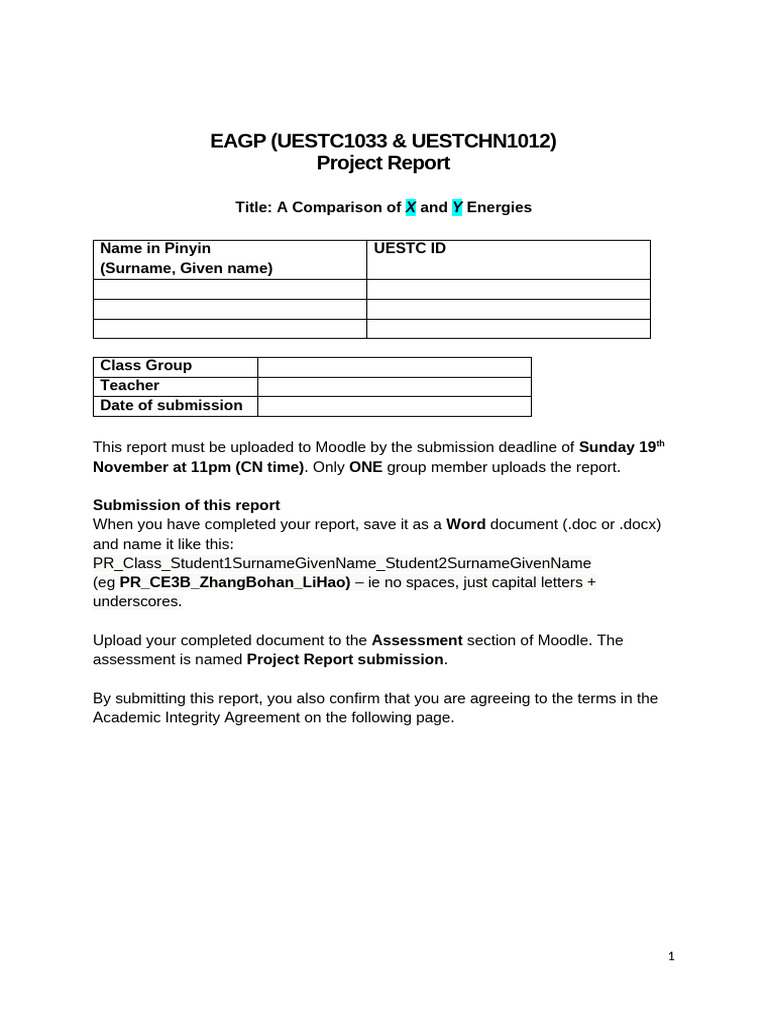 EAGP Project Report Template 2023 | PDF | Linguistics