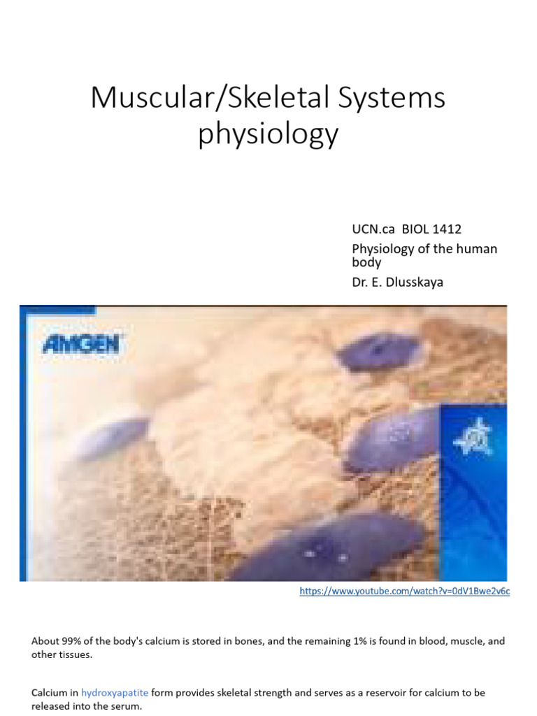 Lecture 5 Muscular Skeletal Physiology | PDF | Muscle Contraction ...