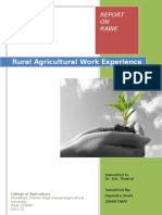 Rural Agricultural Work Experience