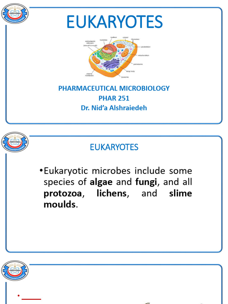 Eukaryotes 260227 225014 | PDF | Fungus | Protozoa