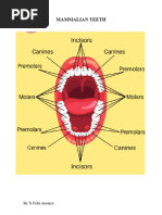 Aging Sheep by Dental Examination | PDF | Tooth | Sheep
