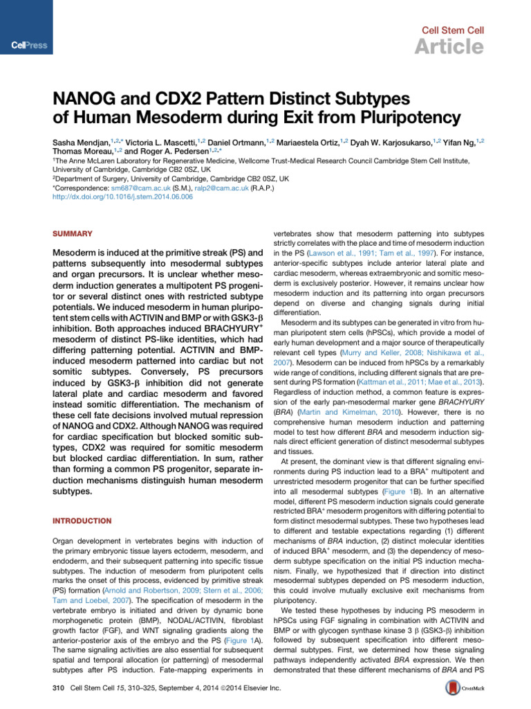 MMC 3 | PDF | Cellular Differentiation | Cell Potency