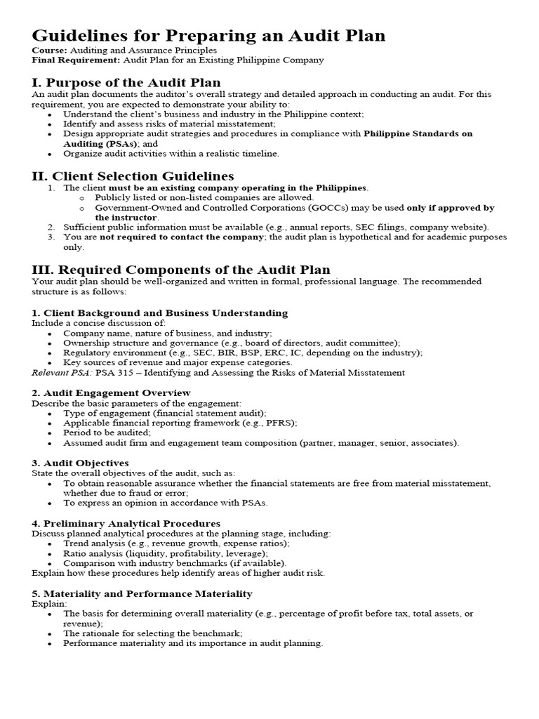 Guidelines For Preparing An Audit Plan | PDF | Audit | Internal Control