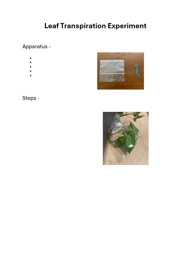 Experiment To Prove Transpiration in Plants - Sahana | PDF