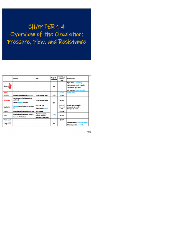Circulation | PDF
