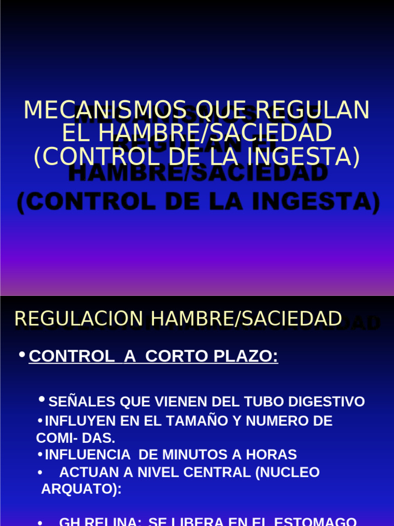 Control de La Ingesta | PDF | Leptina | Obesidad