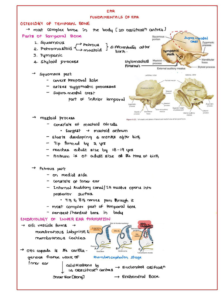 ENT Hand Written Note | PDF