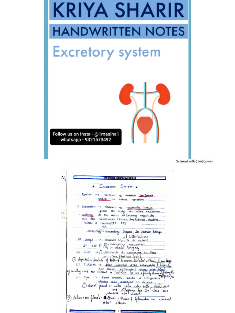 Excretory System Kriya Sharir | PDF