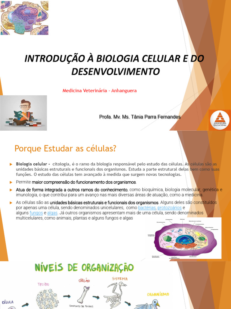 Aula Teórica Introdução Ao Estudo Da Biologia Celular - Prof.a Tânia ...