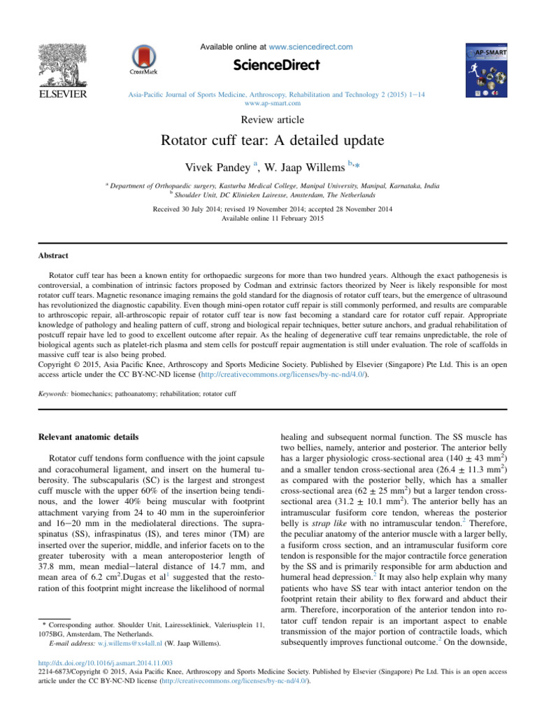 Rotator Cuff | PDF | Shoulder | Tendon